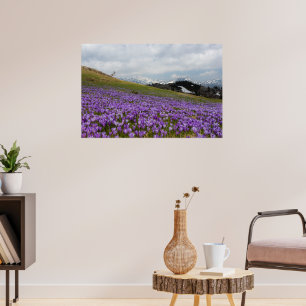 Poster Fleurs de crocus à Velika Planina, Slovénie