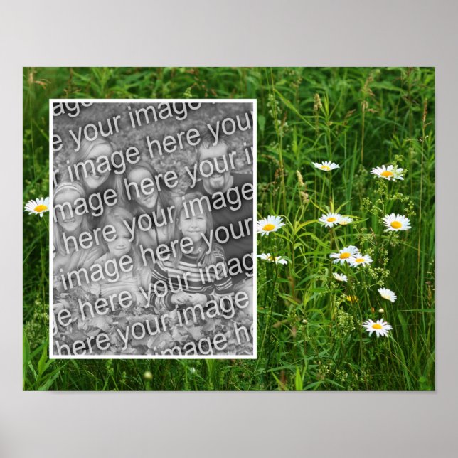 Poster Fleurs De Faisceau En Champ Ajouter Votre Photo (Devant)