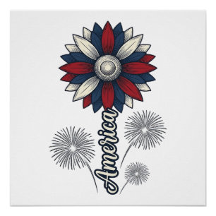 Poster Fleurs de feu d'artifice vectoriel de conception p