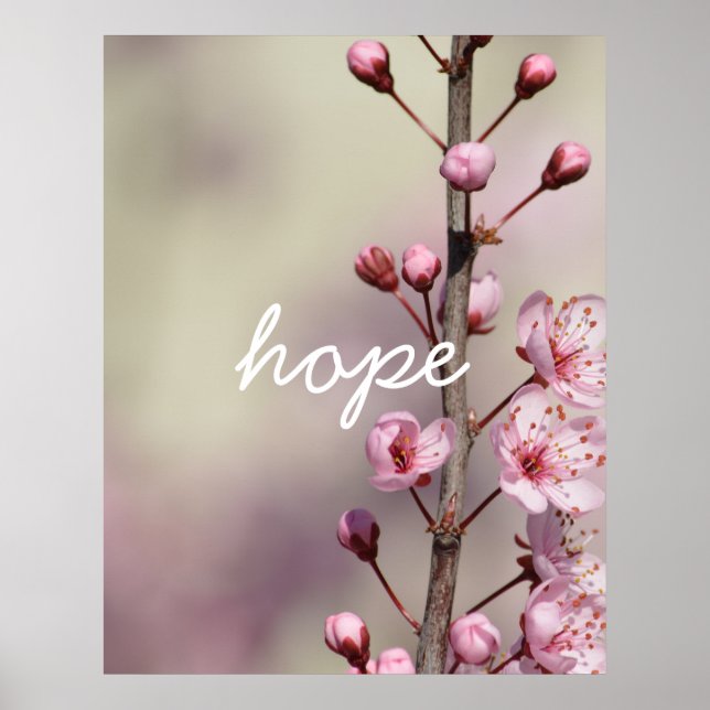Poster Fleurs de fleurs de cerisiers espoir (Devant)
