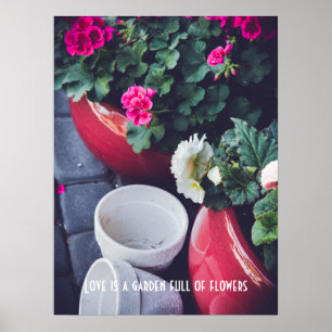 Poster Fleurs de géranium de jardin roses et blanches