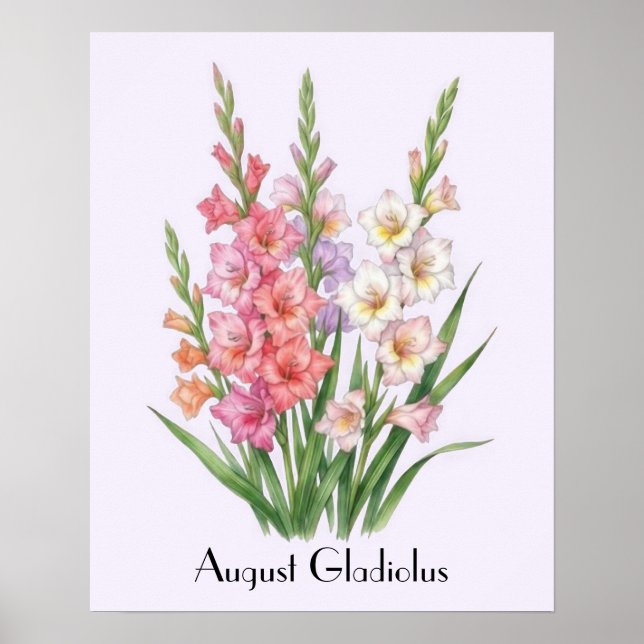 Poster Fleurs de glaïeul d'août (Devant)