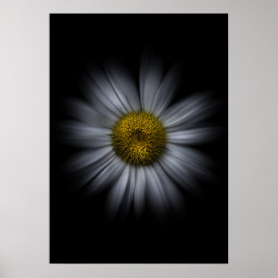 Poster Fleurs de jardin arrière N° 13 Version Color Flow