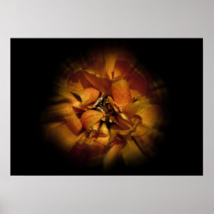Poster Fleurs de jardin arrière n°80 Version Color Flow
