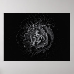 Poster Fleurs de jardin en noir et blanc n° 100