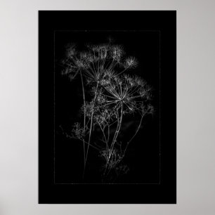 Poster Fleurs De jardin En Noir Et Blanc No 87 Bordure