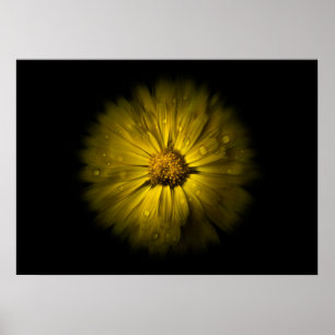Poster Fleurs de jardin No 10 Version Flow