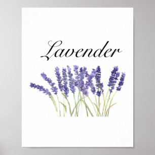 Poster Fleurs de lavande herbes d'aquarelle violet chic