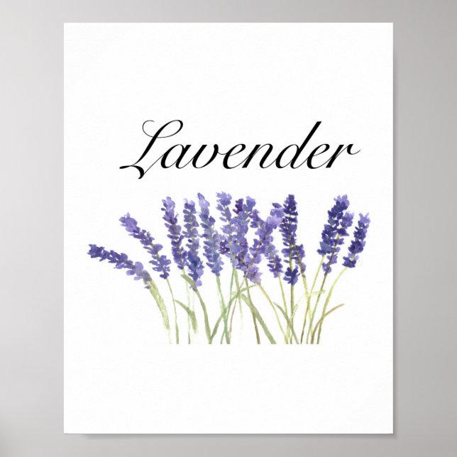 Poster Fleurs de lavande herbes d'aquarelle violet chic (Devant)
