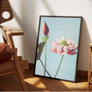 Poster fleurs de lotus