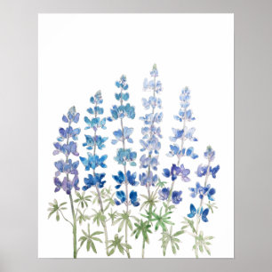 Poster fleurs de lupin bleu et violet aquarelle