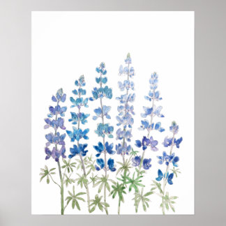 Poster fleurs de lupin bleu et violet aquarelle