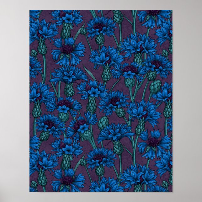 Poster Fleurs de maïs bleues, fleurs sauvages (Devant)