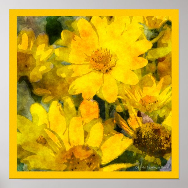 Poster Fleurs de marguerite jaune Aquarelle (Devant)
