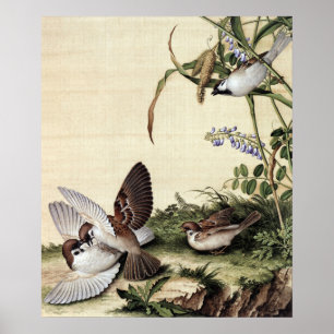 Poster Fleurs de mil et fleurs de soja Beaux-Art