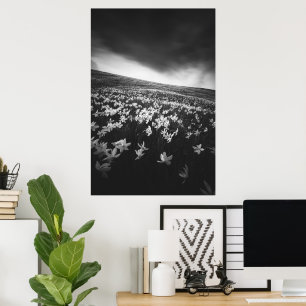 Poster Fleurs de narcisse sur la montagne Golica, Slovéni