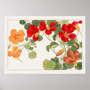 Poster Fleurs de Nasturtium rouge et orange par Tanigami 