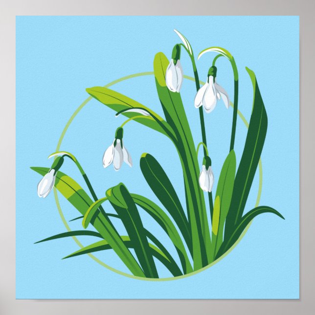 Poster Fleurs de neige (Devant)