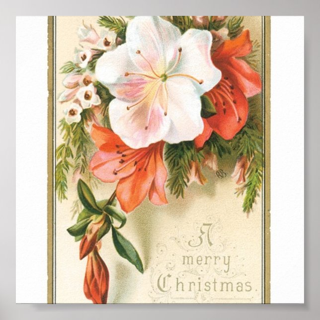 Poster Fleurs de Noël (Devant)