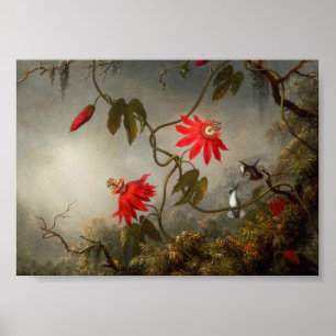 Poster Fleurs de passion avec tête de colibris
