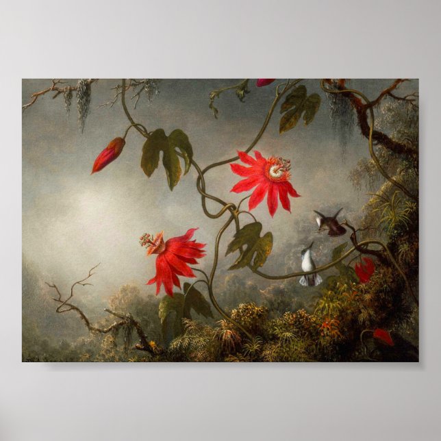 Poster Fleurs de passion avec tête de colibris (Devant)