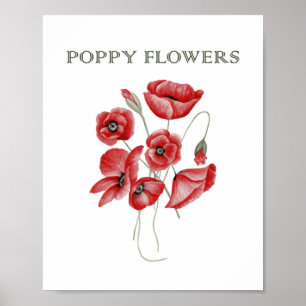 Poster Fleurs de pavot