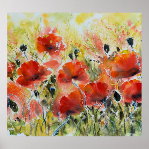 Poster Fleurs de pavot rouge, aquarelle douce.