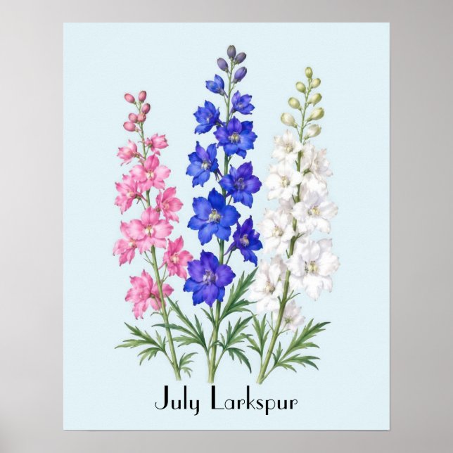 Poster Fleurs de Pied-d'Alouette de Juillet (Devant)