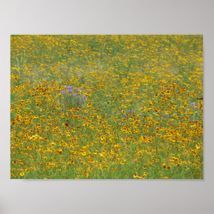 Poster Fleurs de prairie, Indiana