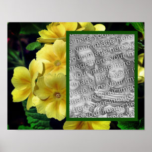 Poster Fleurs de Primrose Jaune Ajouter Votre Photo