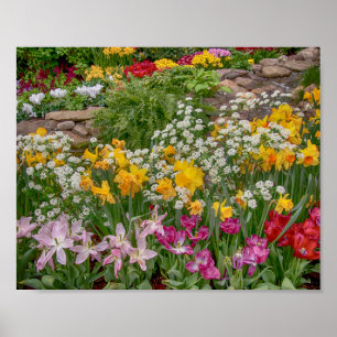 Poster Fleurs de printemps colorées 10x8 en pleine flora