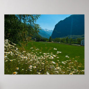 Poster Fleurs de printemps de Norvège