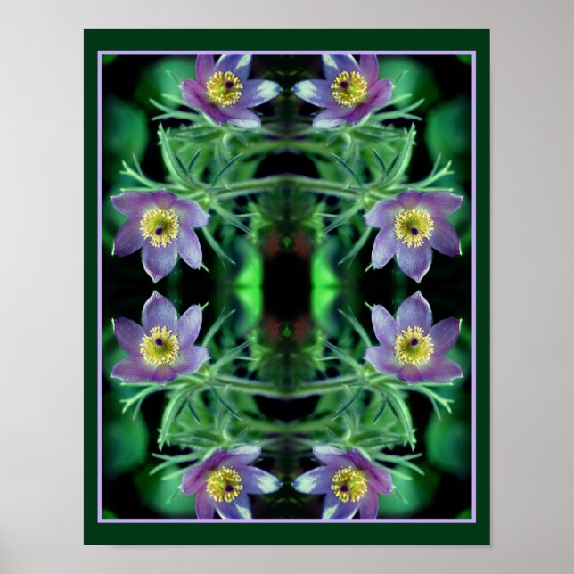 Poster Fleurs de printemps pasque violet Abstraites (Devant)