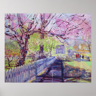 Poster Fleurs de redbud roses à Williamsburg Virginie