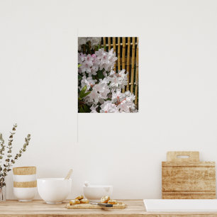 Poster Fleurs de Rhododendron Blanc et Fleurs de Clôture 