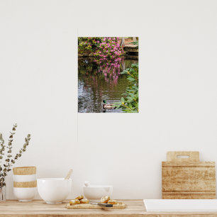 Poster Fleurs de Rhododendron rose reflet d'eau