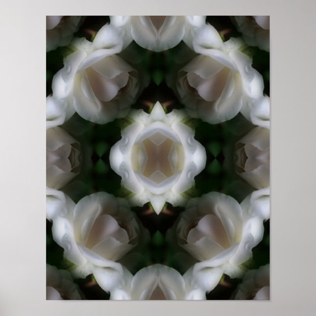 Poster Fleurs de rose blanche Abstraites (Devant)