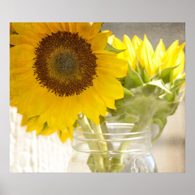 Poster Fleurs de soleil (Devant)