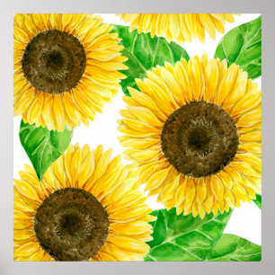 Poster Fleurs de soleil