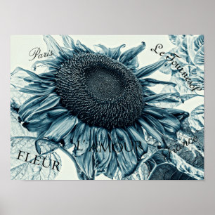 Poster Fleurs de soleil géantes Art Vintage Turquoise Eph