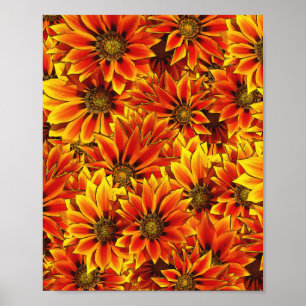 Poster Fleurs de soleil orange
