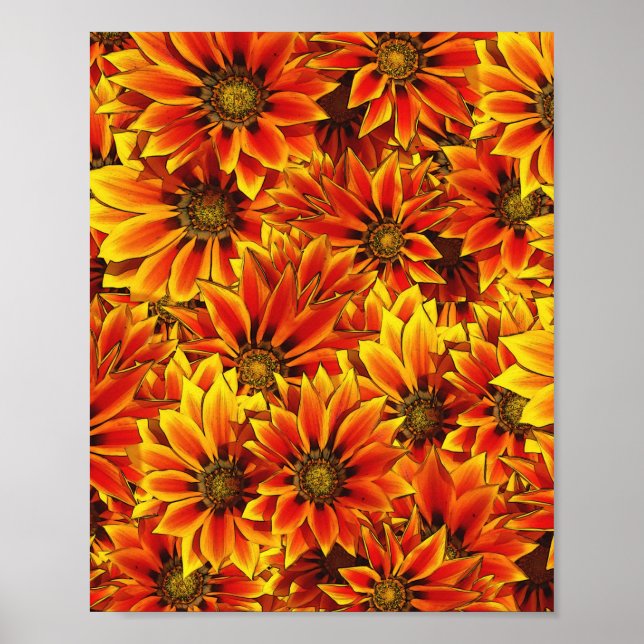 Poster Fleurs de soleil orange (Devant)