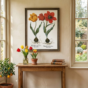 Poster Fleurs de tulipes printanières vintage par Basiliu