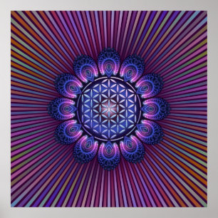 Poster FLEURS DE VIE / Blume des Lebens - Mandala II