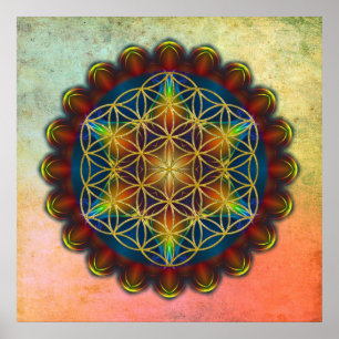 Poster FLEURS DE VIE / Blume des Lebens - Mandala III