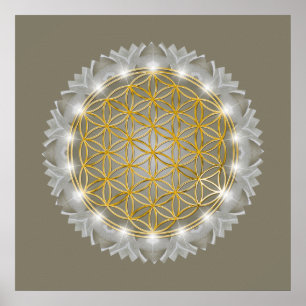 Poster FLEURS DE VIE - Géométrie Sacrée Lumière 1