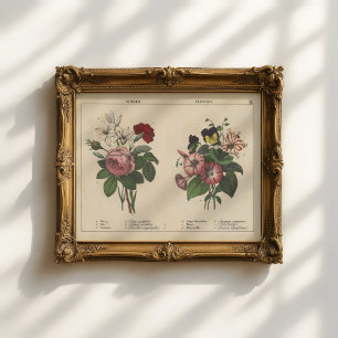 Poster Fleurs d'été   Charlotte Mary Yonge