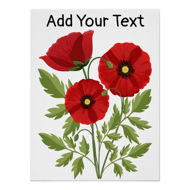Poster Fleurs d'été joyeuses floraison de pavot (Devant)