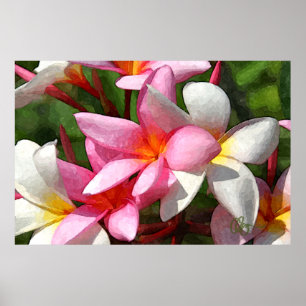 Poster Fleurs d'Hawaï