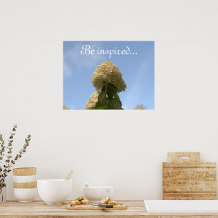 Poster Fleurs d'Hydrangea Ciel Bleu